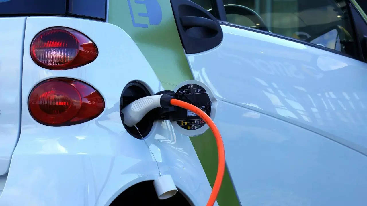 Union Budget: Tamil Nadu's EV industry charges up with customs duty exemptions