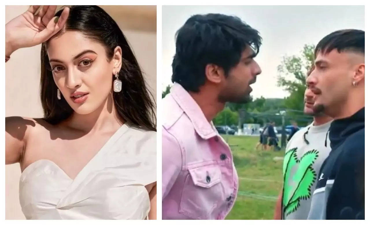 Exclusive - Khatron Ke Khiladi 14's Aditi Sharma reacts to Asim Riaz-Abhishek Kumar's fight; says 'Asim has anger issues and the comments he made were...'