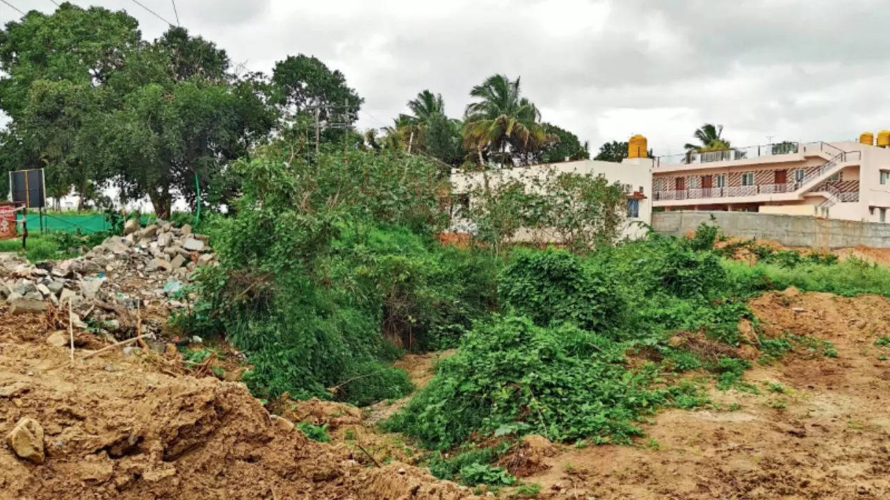 Chola-era drainage culvert vanishes, residents call it 'audacious robbery'