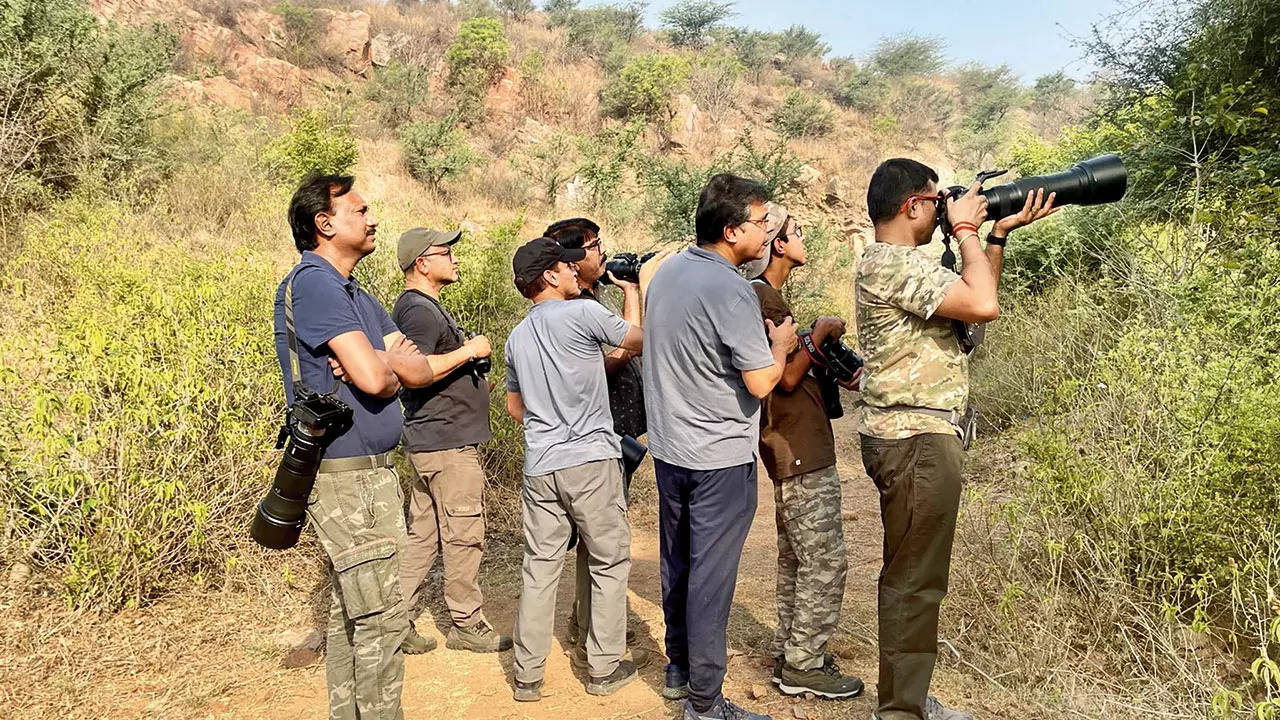‘Monsoon is a great time to go birding in Gurgaon’s many natural habitats’