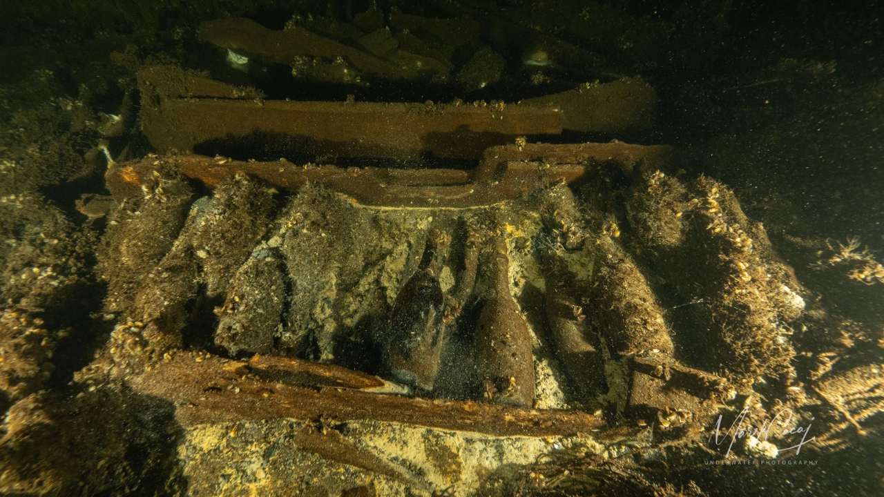 19th-century Baltic shipwreck loaded with champagne uncovered by Polish divers