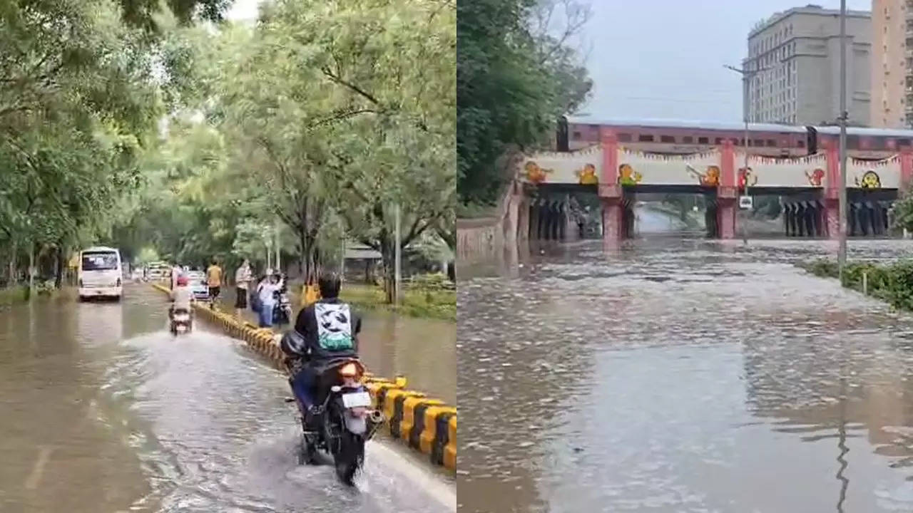 Heavy rains in Delhi cause roadblocks, waterlogging; IMD predicts more showers, police issue traffic advisory