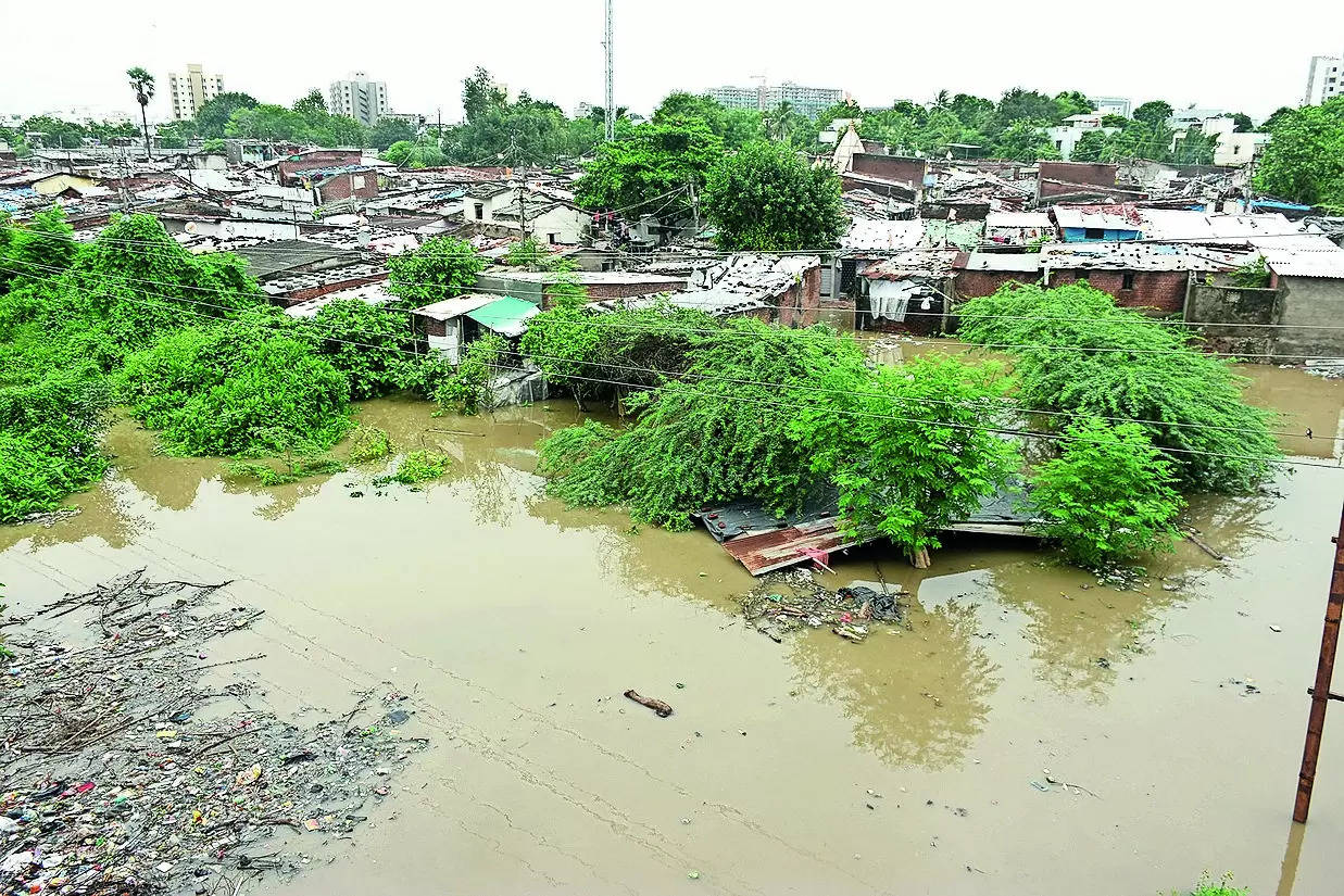 Vishwamitri river crosses danger mark; 4,200 shifted