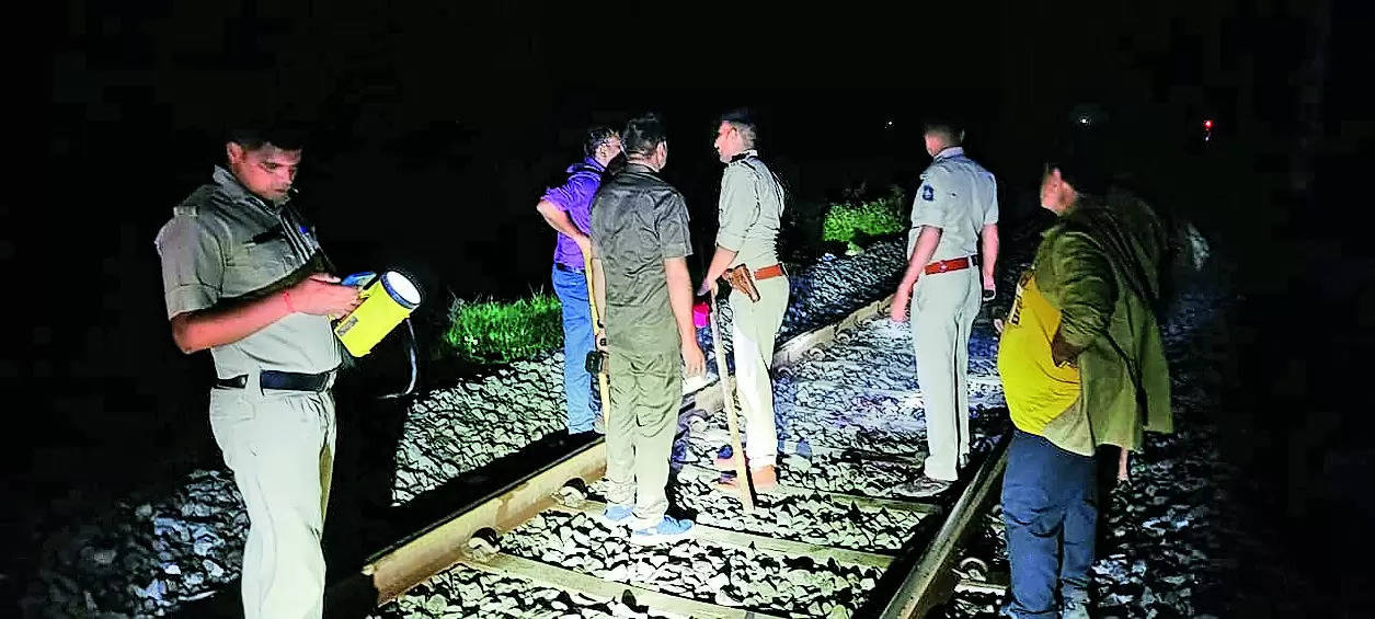 Lion killed by speeding passenger train near Liliya