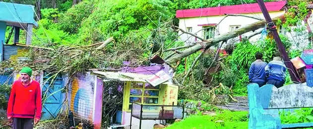 Heavy rain cripples public life in Nilgiris
