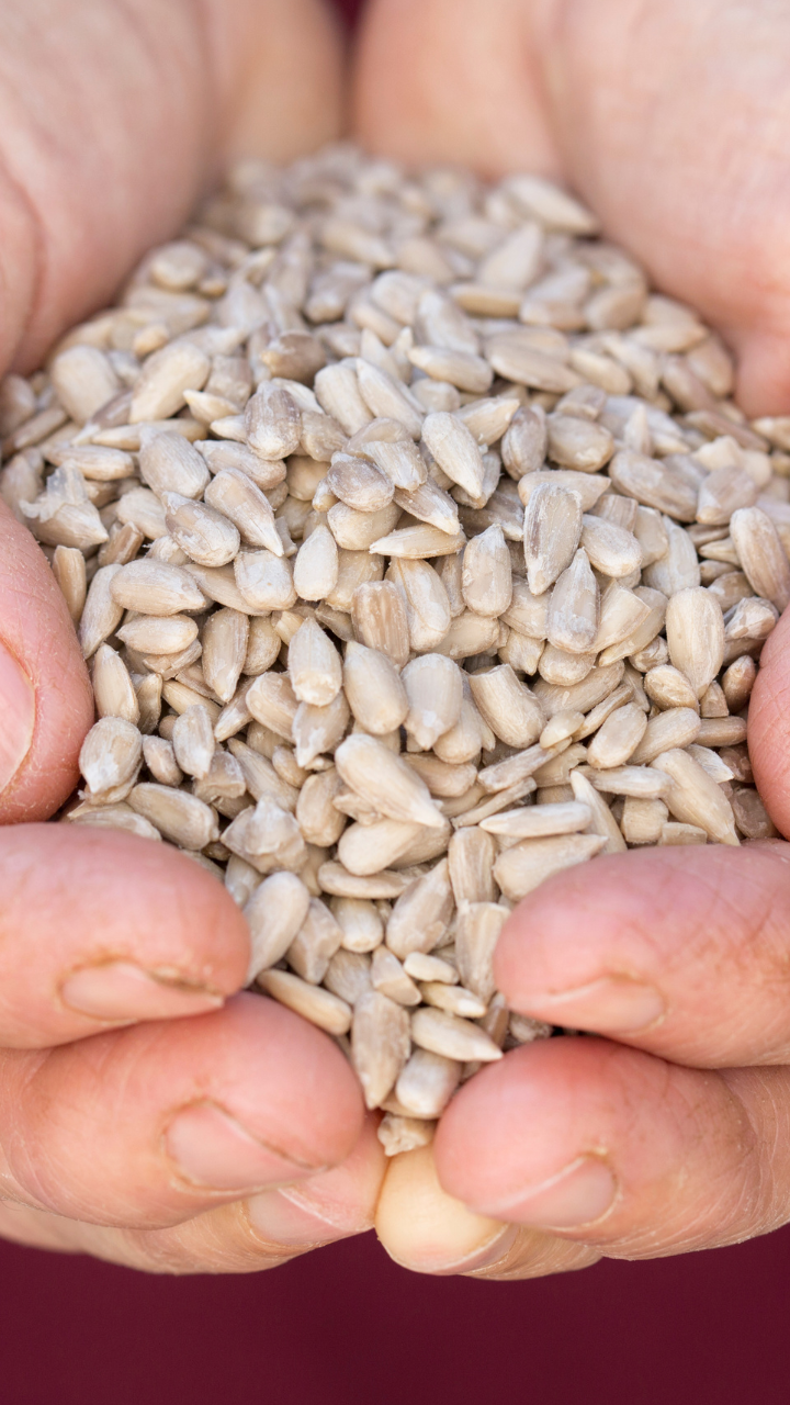 10 reasons to eat a spoonful of sunflower seeds everyday