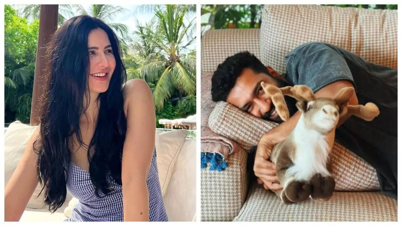 Katrina Kaif turns photographer for husband Vicky Kaushal as they spend a 'lazy Sunday' together - See inside | Filmymeet