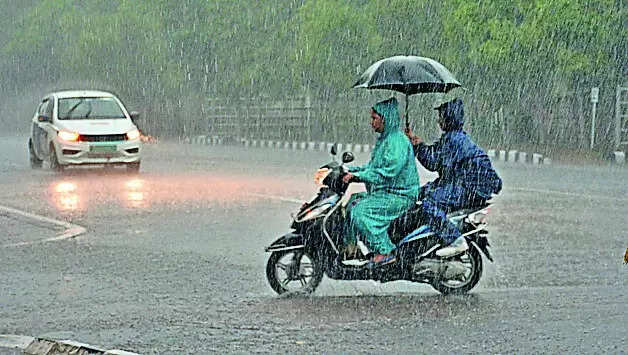 IMD: Heavy rain likely to continue till Aug 2 in state