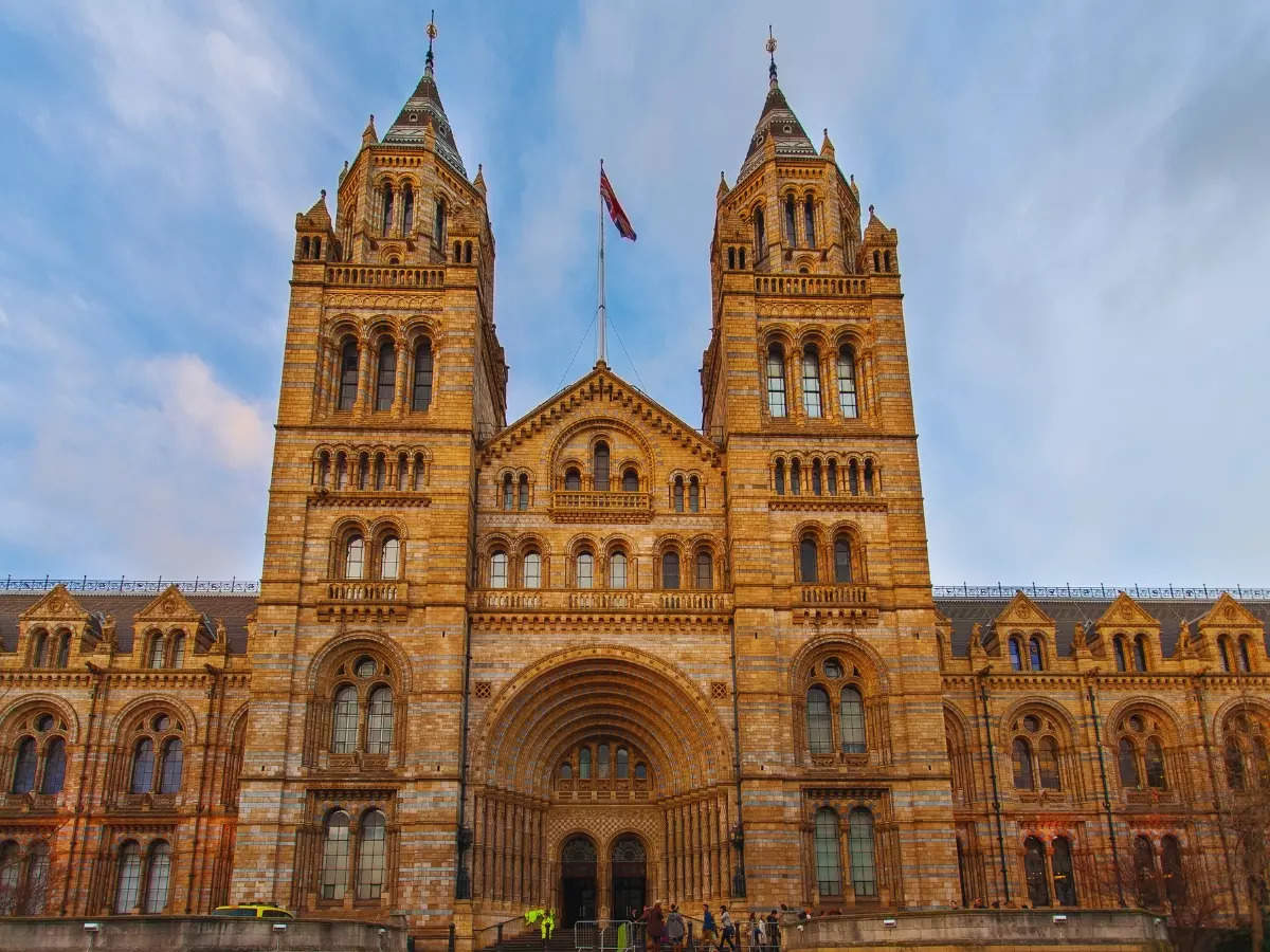 London: A family adventure at the Natural History Museum