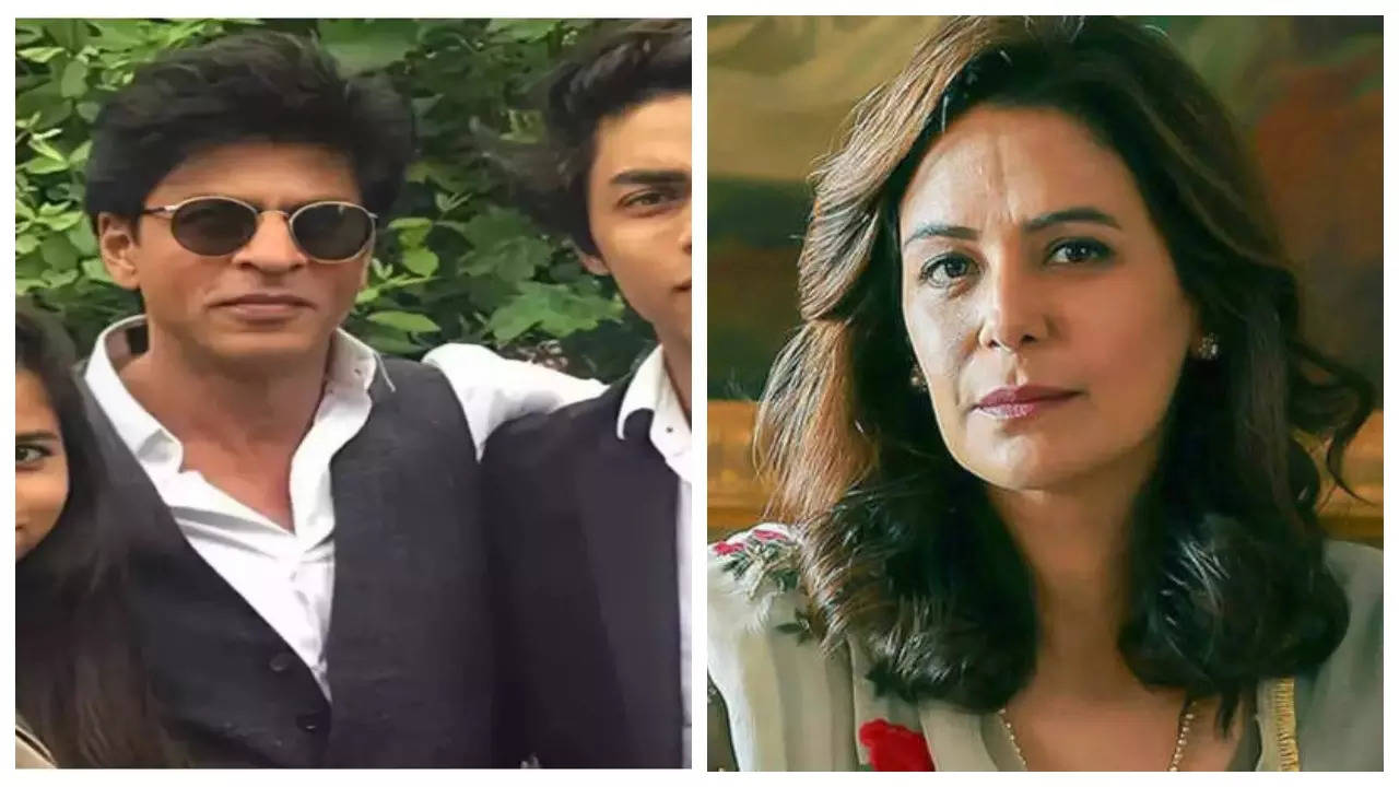 Shah Rukh Khan's kids Suhana Khan and Aryan Khan used to eat food listening to THIS song, reveals Mona Singh | Hindi Movie News Filmymeet