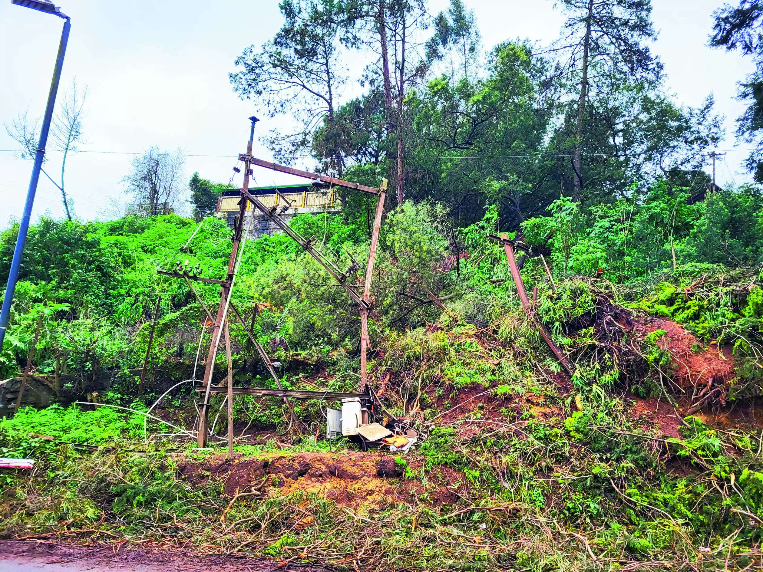 Over 650 EB poles damaged in Nilgiris in two weeks of rainfall