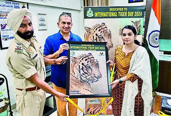 Getting message of tiger conservation across via pics