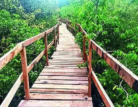 Bhitarkanika National Park to reopen on Aug 1