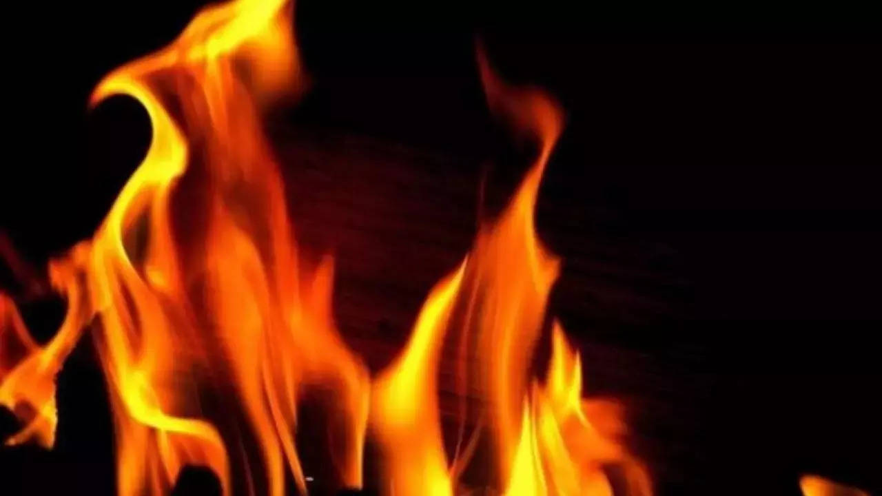 3 girls dead, father battles for life after fire at Noida house