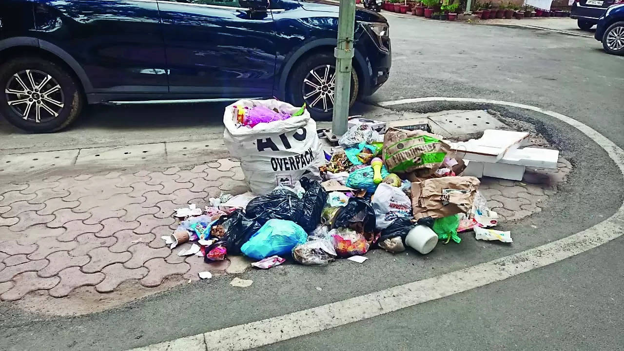Doorstep collection erratic, garbage in every nook, cranny & centre