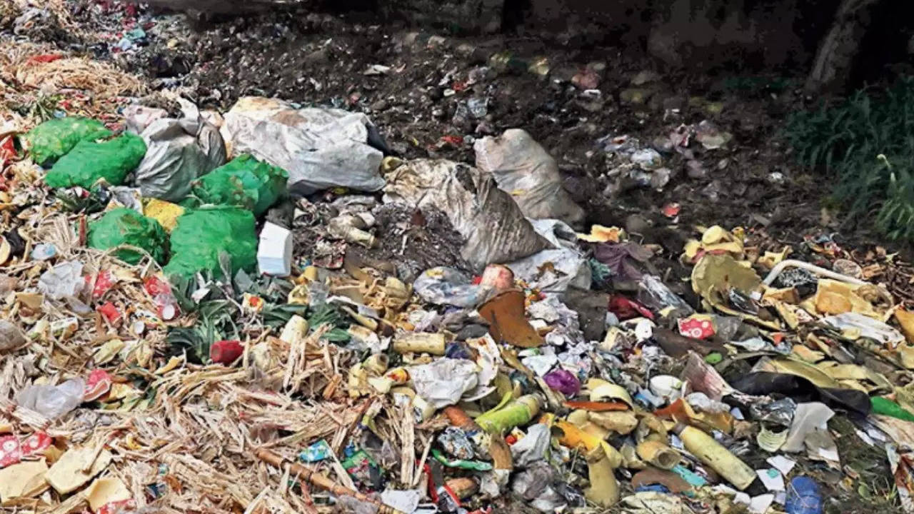 Gurgaon municipal body set to pay cos Rs 2.3 crore for garbage collection, transportation