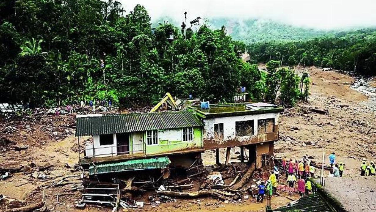 Man vs Wild: Wayanad family spends night in company of jumbos