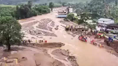 Wayanad landslides: Odisha couple lucky to escape catastrophe