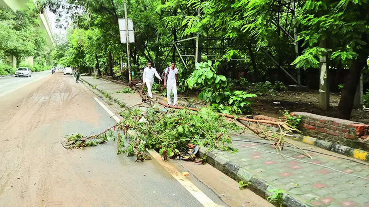 Discom panel to probe electrocution that left 3 dead near Gurgaon metro station