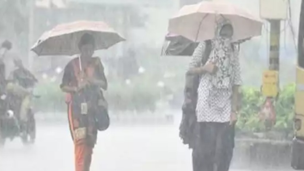 20kmph wind and light rain fail to bring down mercury in Haryana
