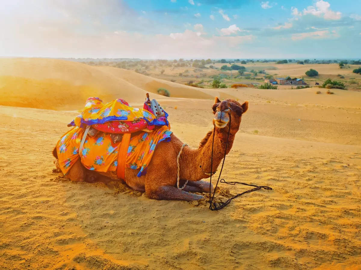 Have you been to these iconic deserts in India?