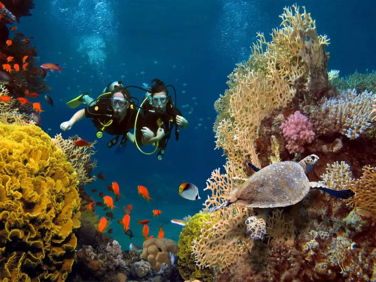 Top 6 places in India to dive into the adventure of scuba diving