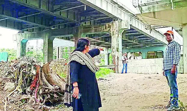 Cracks, leaks in Shastri Bridge structure flagged