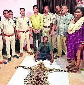 Suspected poacher held with leopard hide