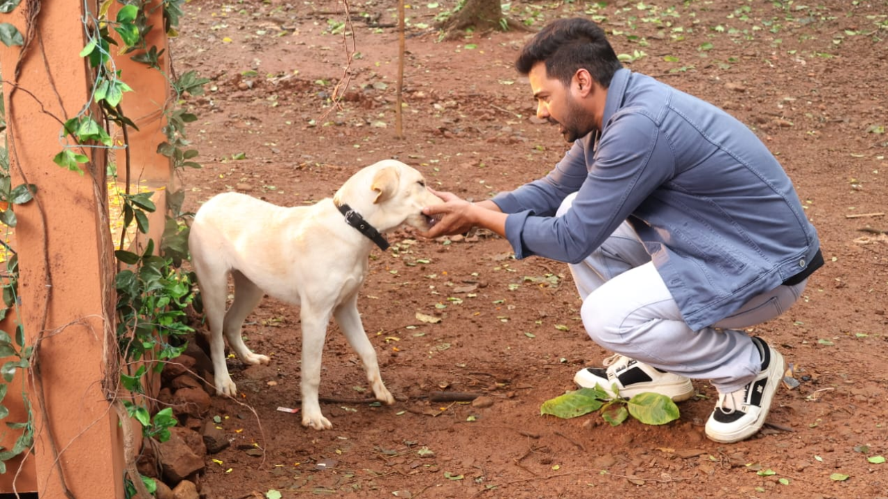 Meet Shabir Ahluwalia's furry buddy on the sets of Pyaar Ka Pehla Naam Radha Mohan, says 'Working with Champi a charming Labrador, on our show has been an absolute delight'