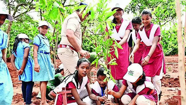 Miyawaki plantation starts in Patrapada