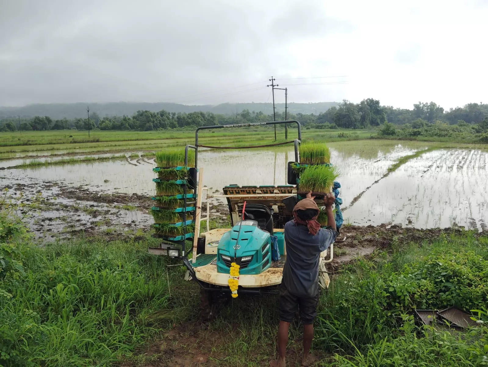 Shirgao receives first-ever mechanical paddy transplant, 6 hectares of khazan land covered