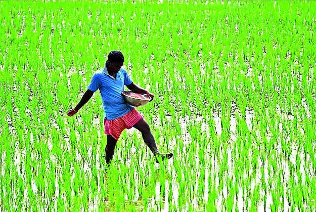 Farmers allege fertiliser crunch for kharif season