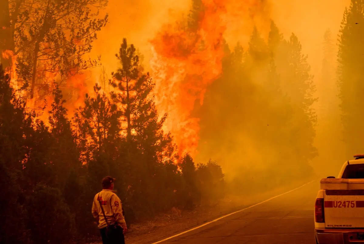 Park fire rages across Northern California, burning over 4,26,000 acres: What we know about the largest wildfire burning in US