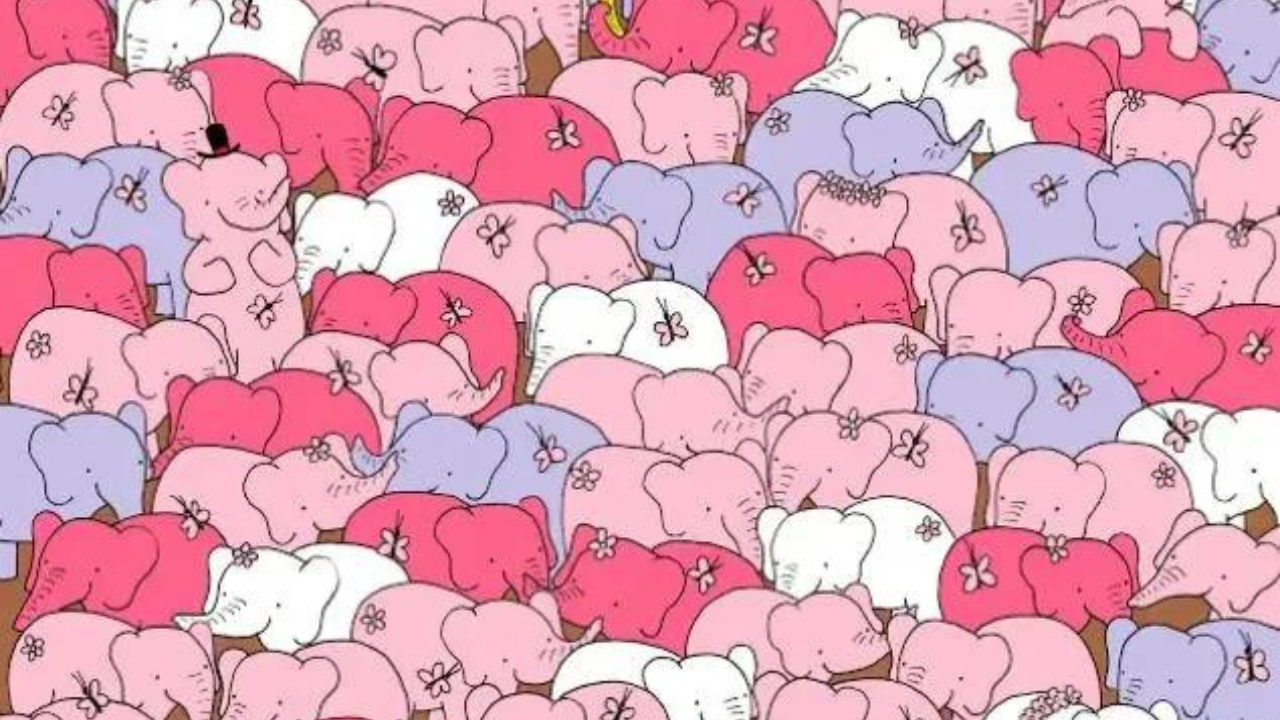 Personality test: Are you kind enough to find a heart among these elephants