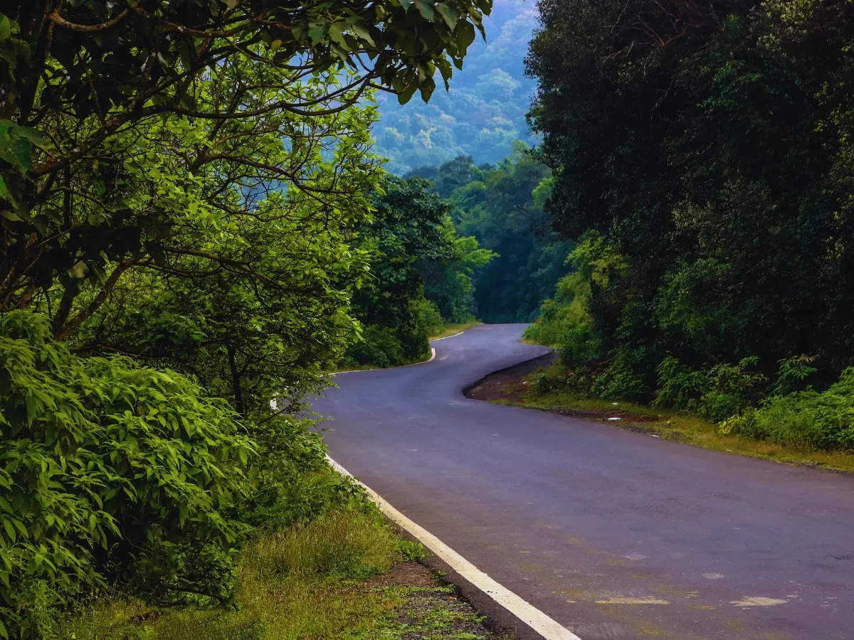 Tamhini Ghat: Why this mountain pass in Maharashtra is every adventure enthusiast’s dream