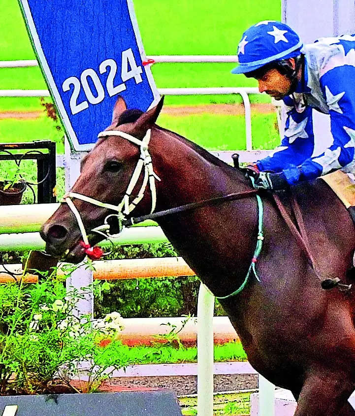 Time And Tide favourite for feature