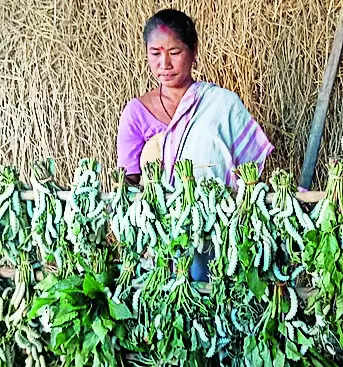 Silk Samagra 2 scheme revitalises sericulture sector in Nalbari dist