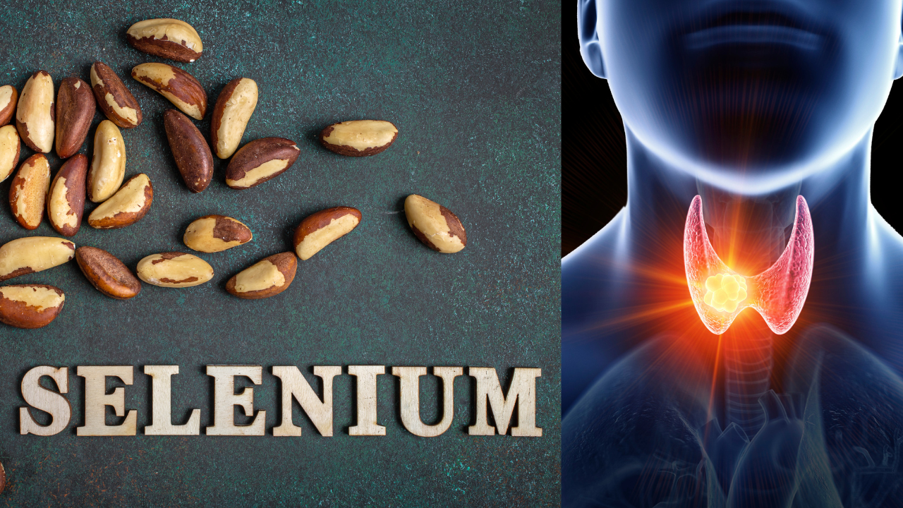 Why consuming selenium is necessary to fix your thyroid