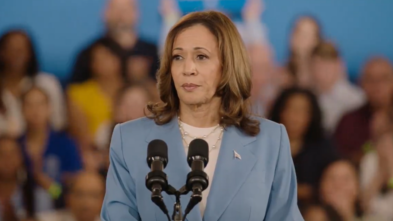 Kamala Harris unveils economic plan; Woos voters with price-cutting plans