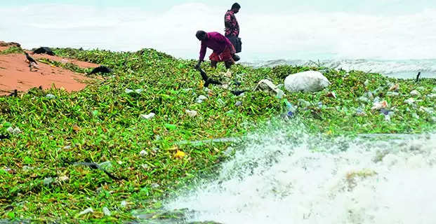 Amayizhanjan pollution affects Akkulam-Veli lakes