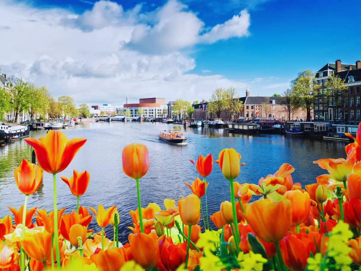 48 hours in Amsterdam: An ideal itinerary for a memorable travel experience