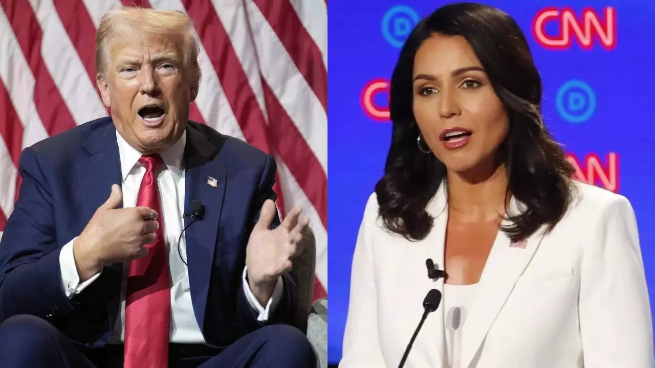 US presidential elections: Donald Trump drafts Tulsi Gabbard for debate preparation