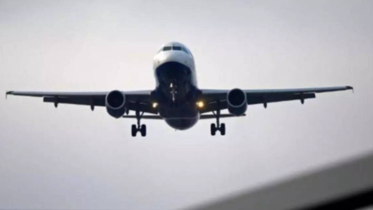 Domestic flyers up 5% this year despite higher airfares