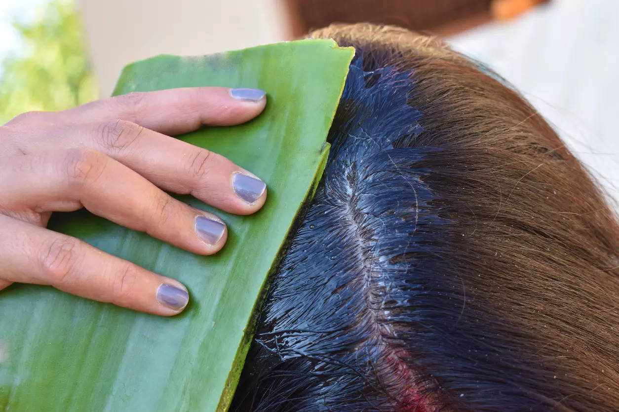 Does rubbing aloe vera gel regrow hair?