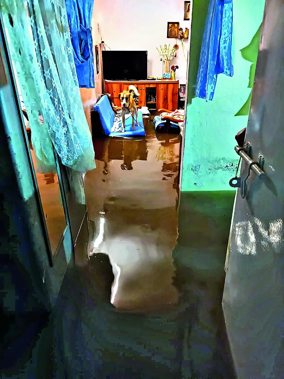 Rain, sewage water gush into six houses in Pune Cantt area