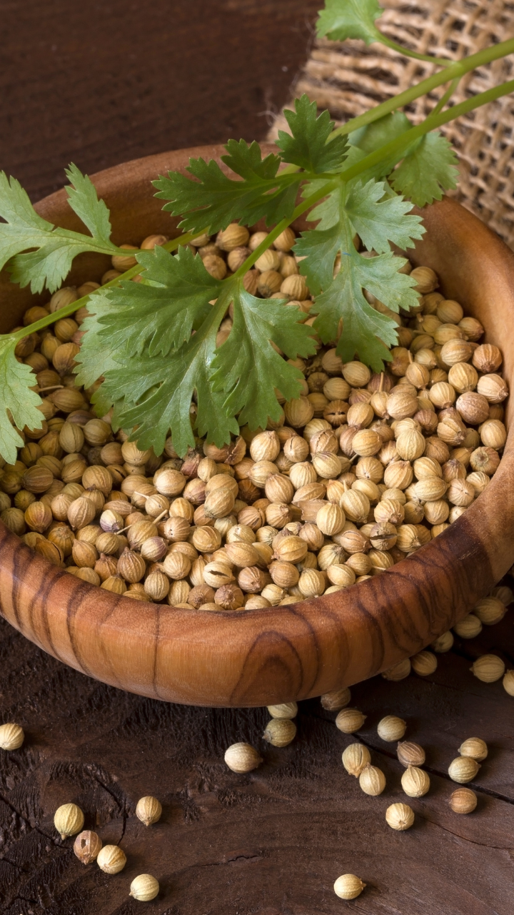 7 health benefits of consuming soaked coriander seeds water