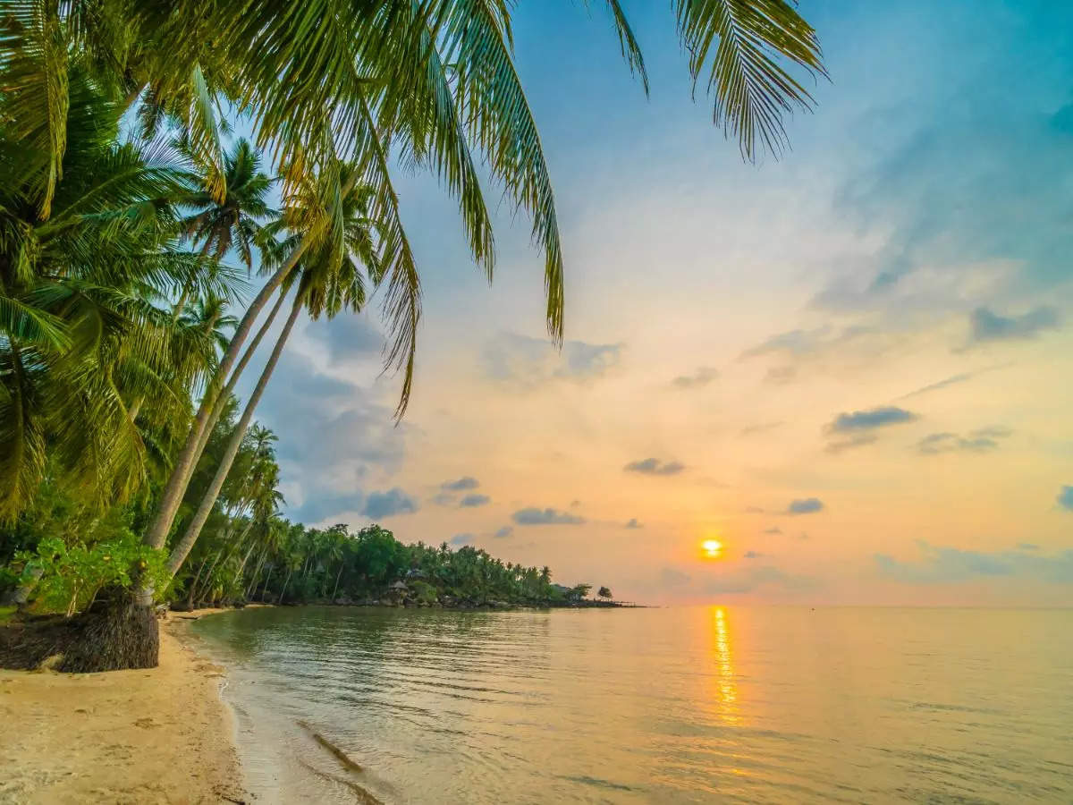 5 best beach destinations in Kerala for sun, sand, and serenity