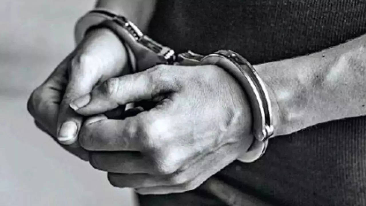 Tamil Nadu teen arrested for sexual assault on 11-year-old sister