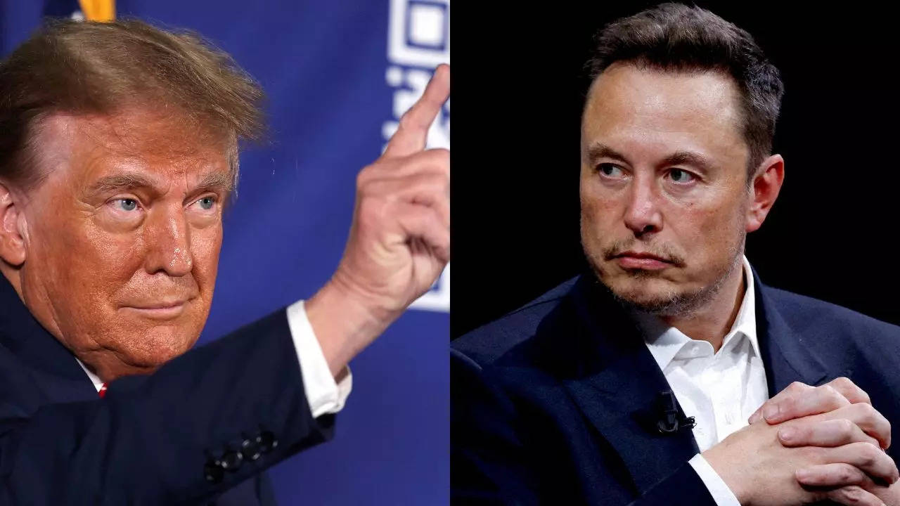 Musk in the White House? Trump floats Elon as US government 'fat cutter' extraordinaire; Watch video