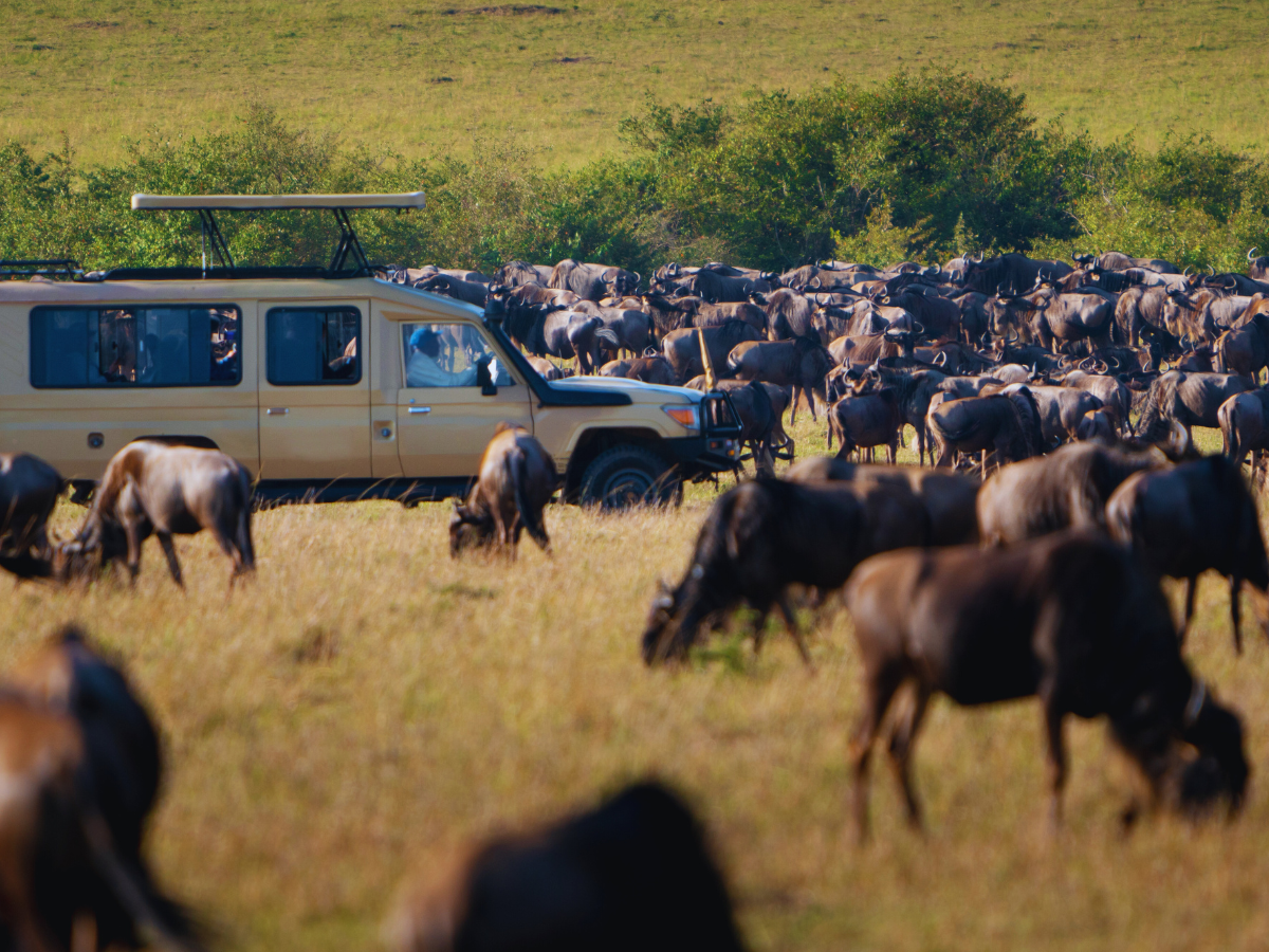 A guide to Serengeti National Park, where the spectacular Great Migration unfolds every year